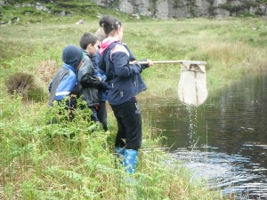 Lake Shrone Trip - netting