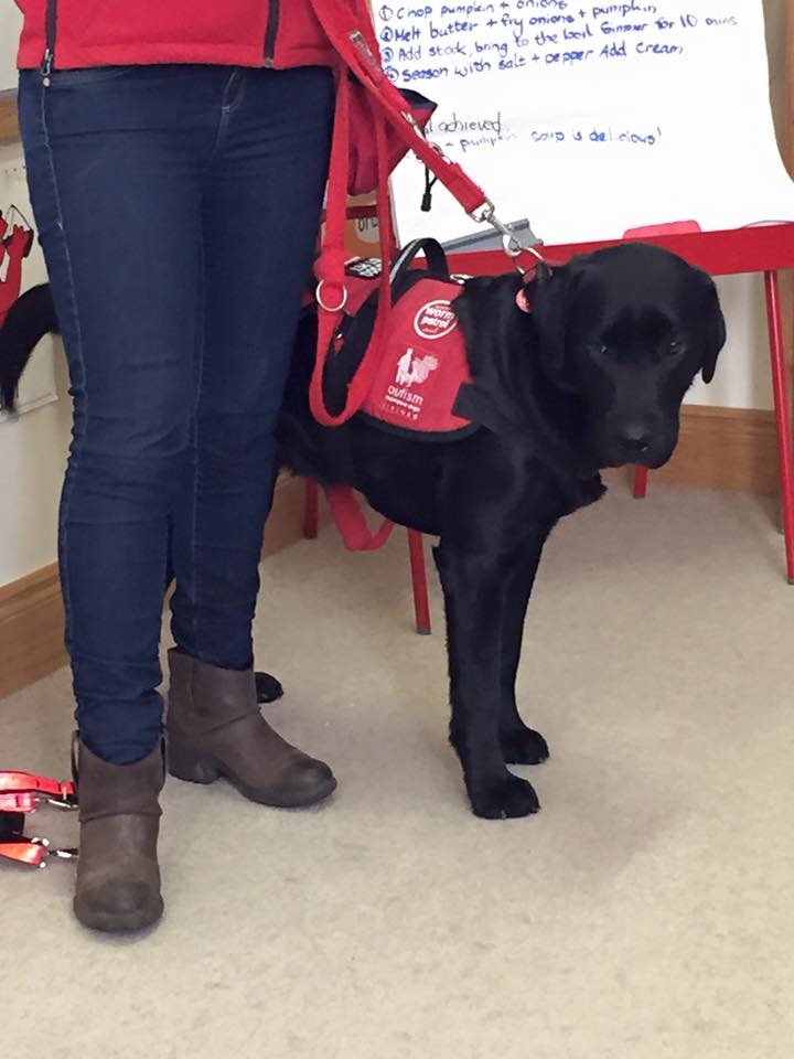 26th Feb 2016 Visit from Autism Assistant Dog. We welcomed Nuala and ‘Maddy’, who told us all about the work they do.