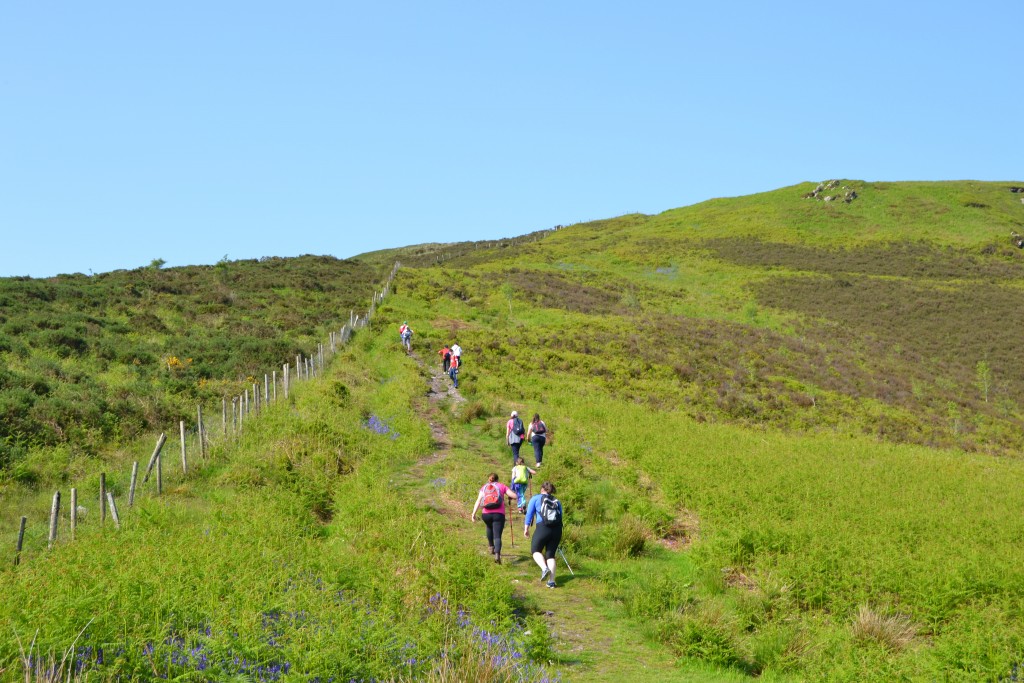 Senior room hike – Clara mountain Millstreet 30th May 2016